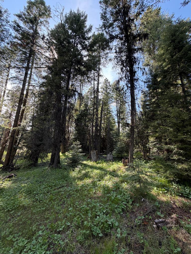 2153 Lydia Drive # 24