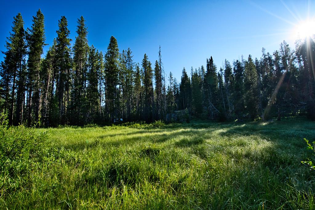 TBD Secesh River Road Unit: 52
