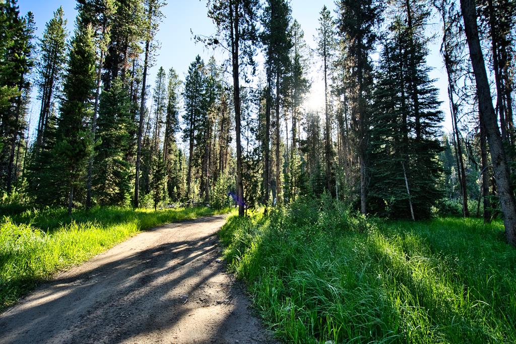 TBD Secesh River Road Unit: 52