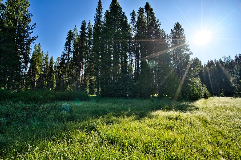 TBD Secesh River Road Unit: 52