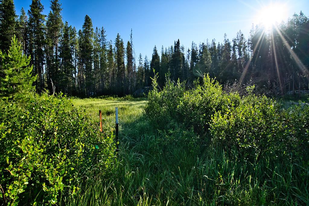 TBD Secesh River Road Unit: 52