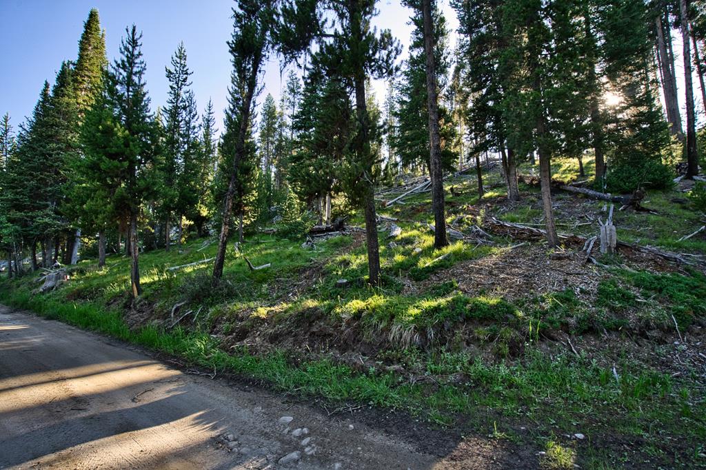 TBD Secesh River Road Unit: 52