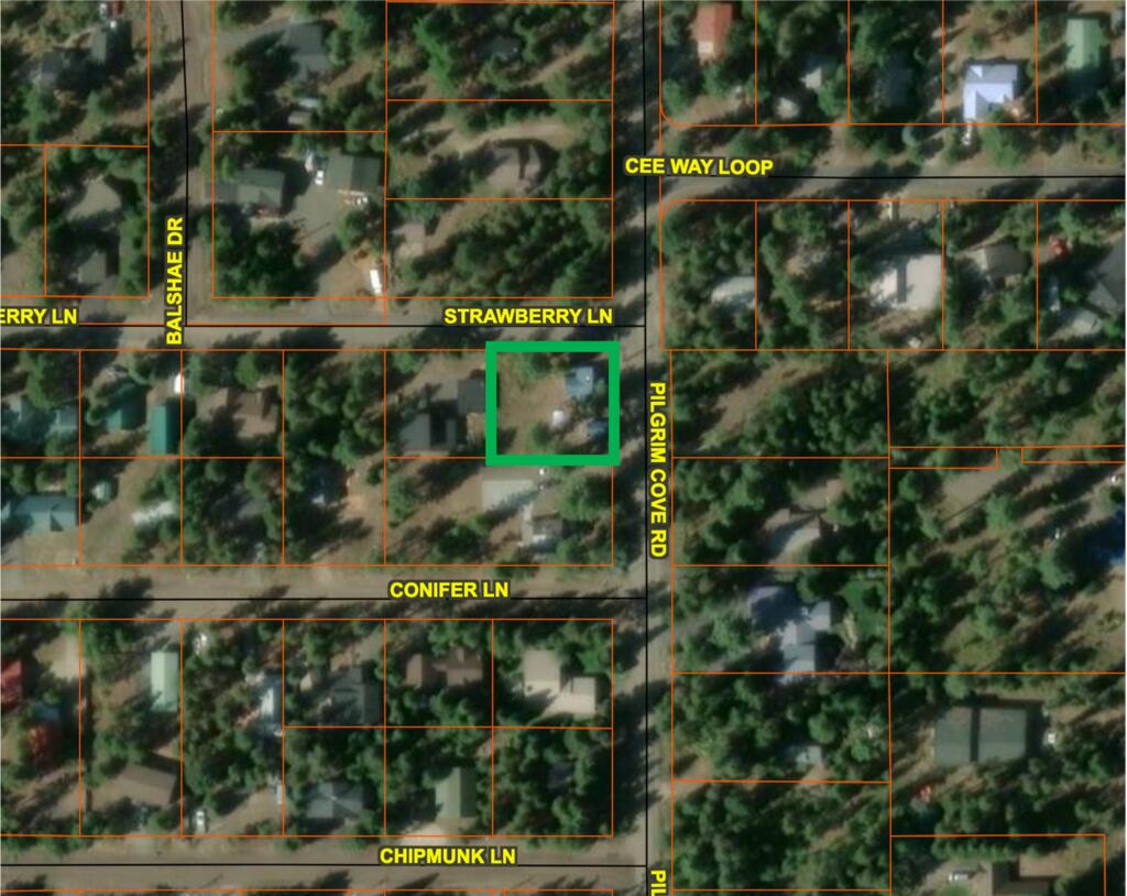 1912 Pilgrim Cove Road, McCall