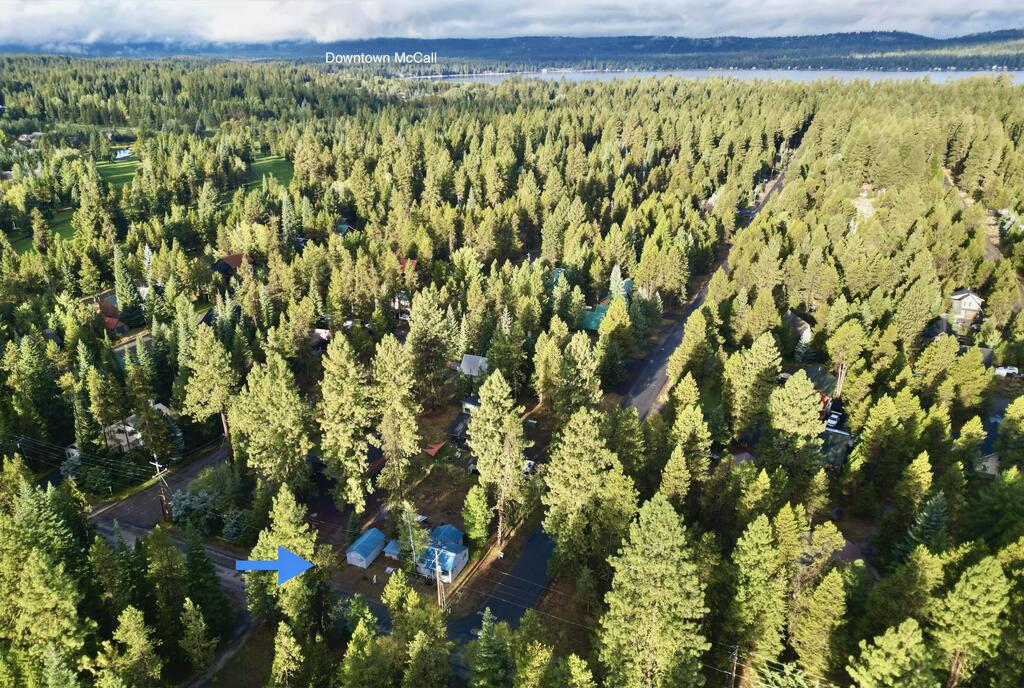 1912 Pilgrim Cove Road, McCall