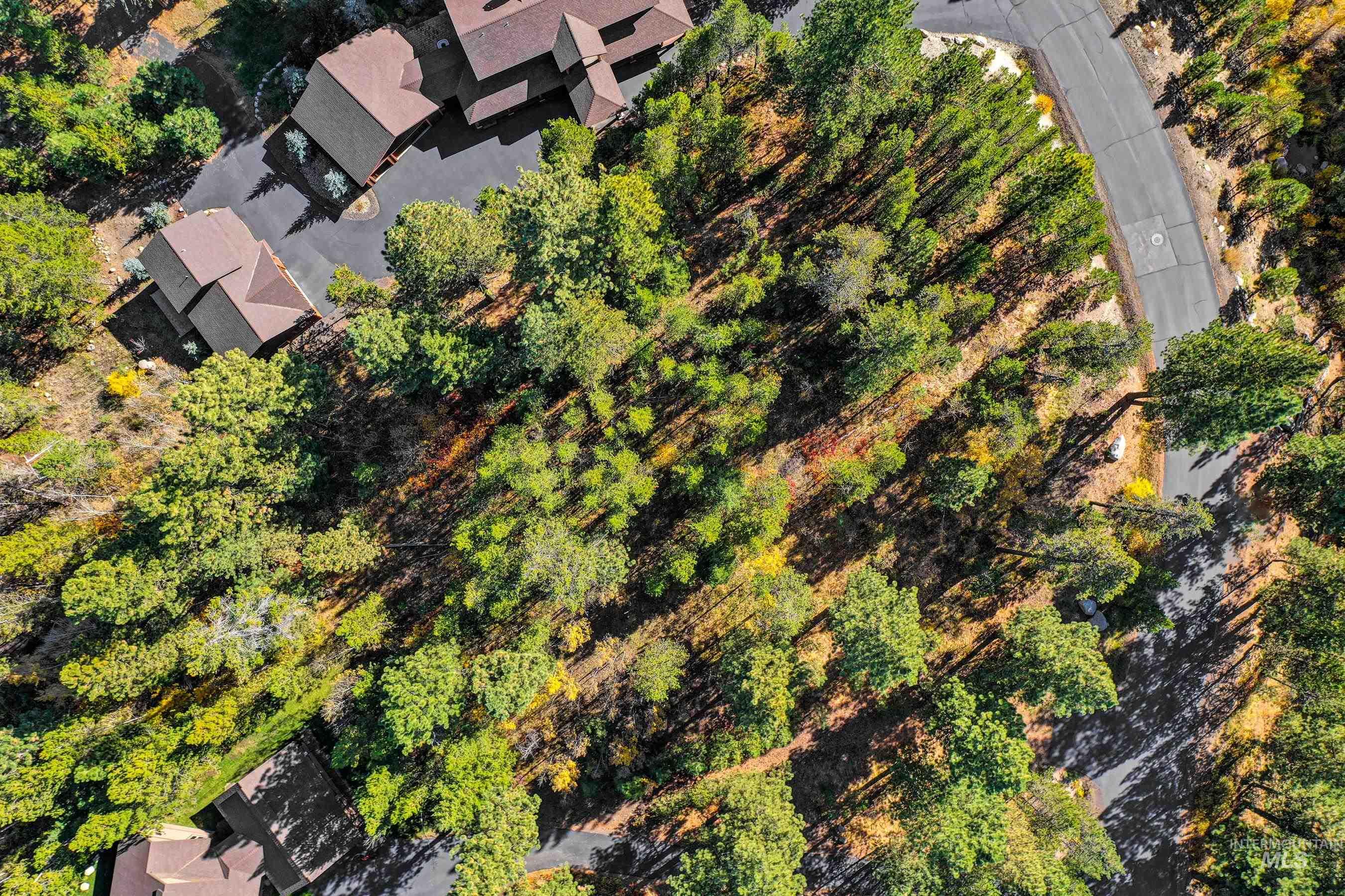 117 Morgan Drive