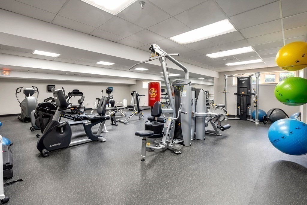 79 Florence Street # 106S