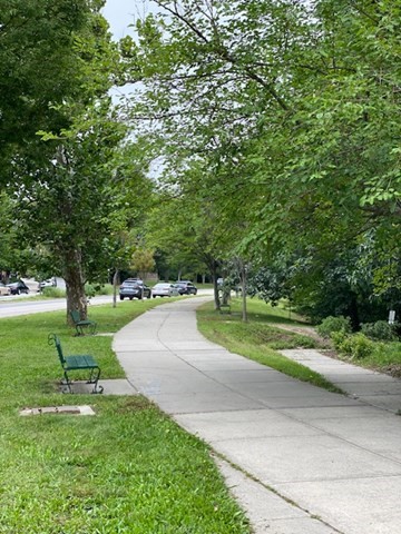 19-21 Fifield Street # 19