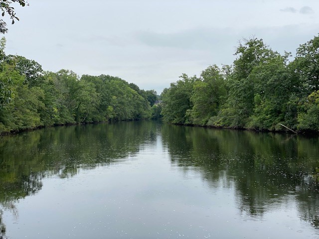 19-21 Fifield Street # 19