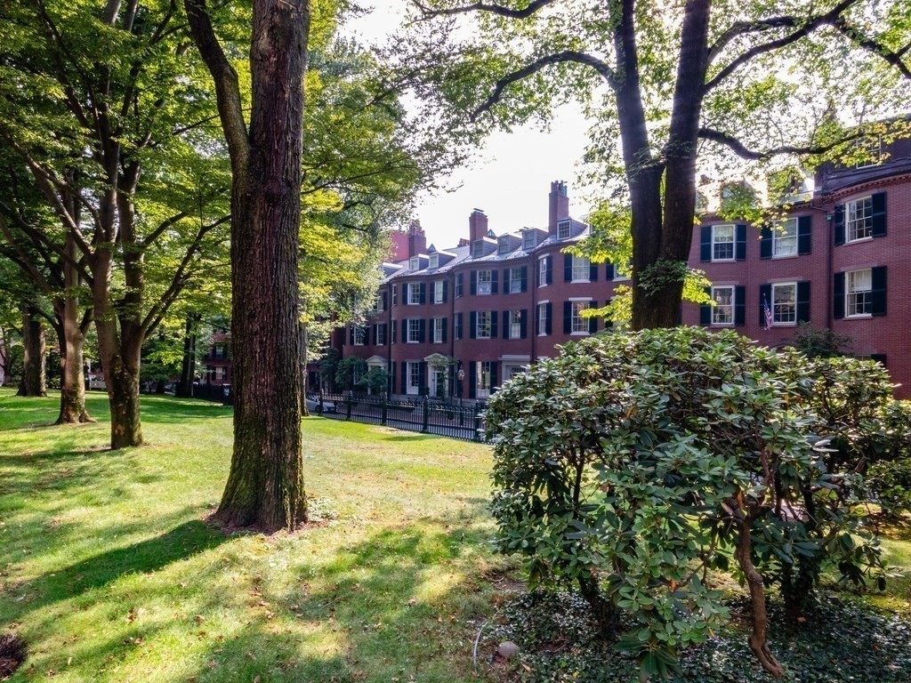 88 Mount Vernon St # 11