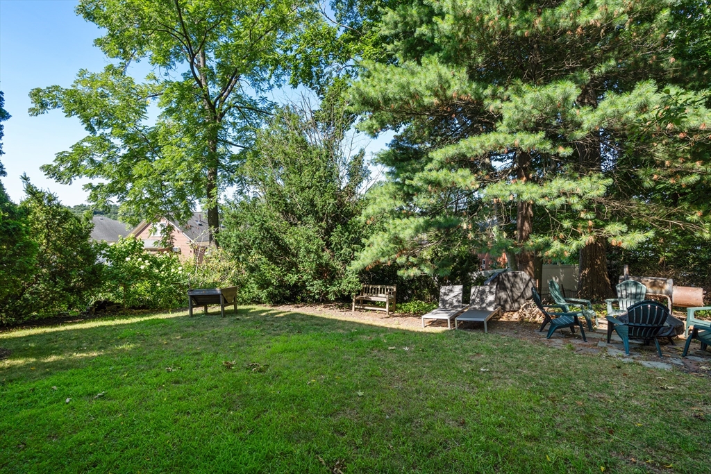 7 Holland Street # 1