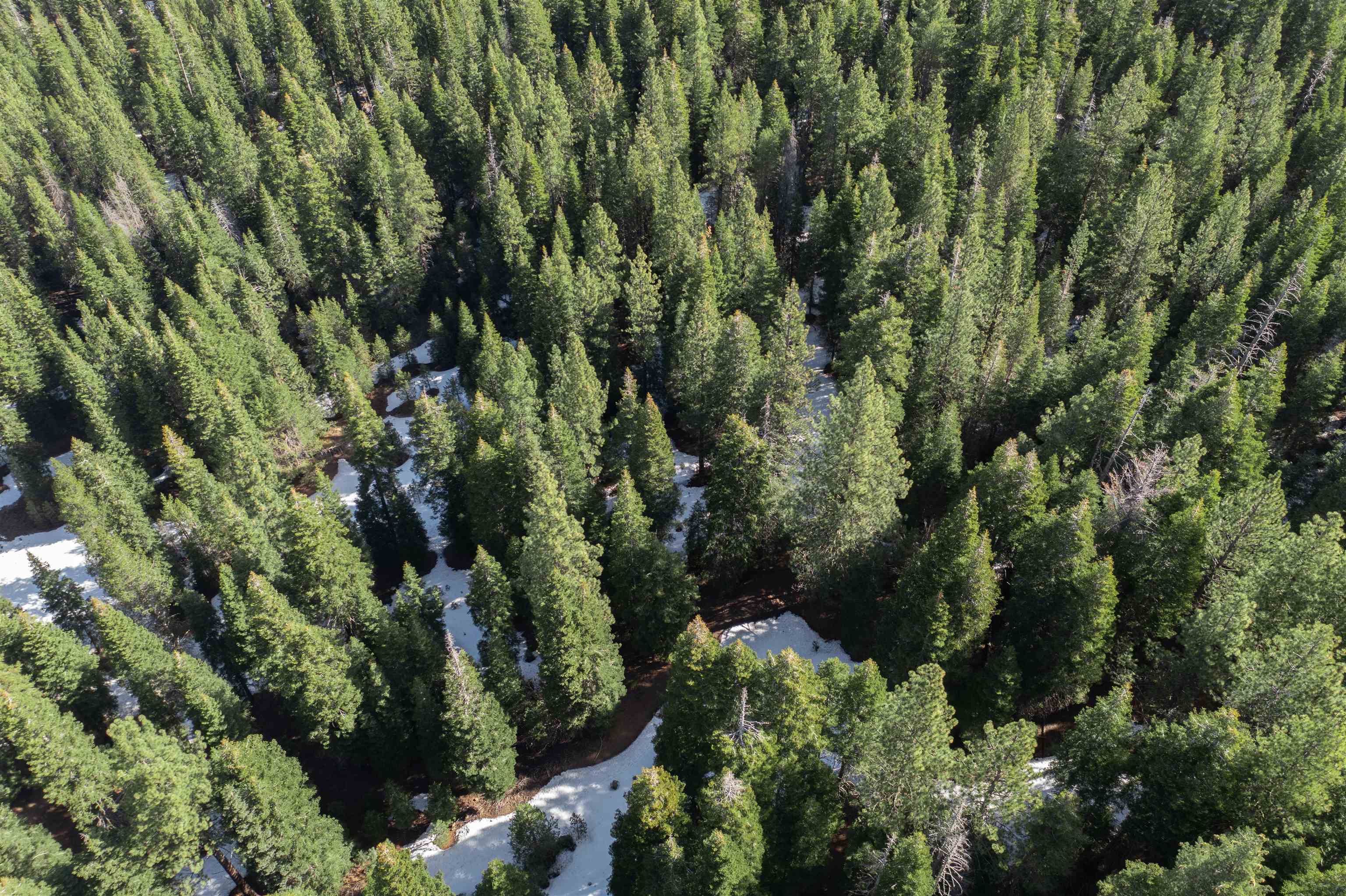 12830 Saint Bernard Drive