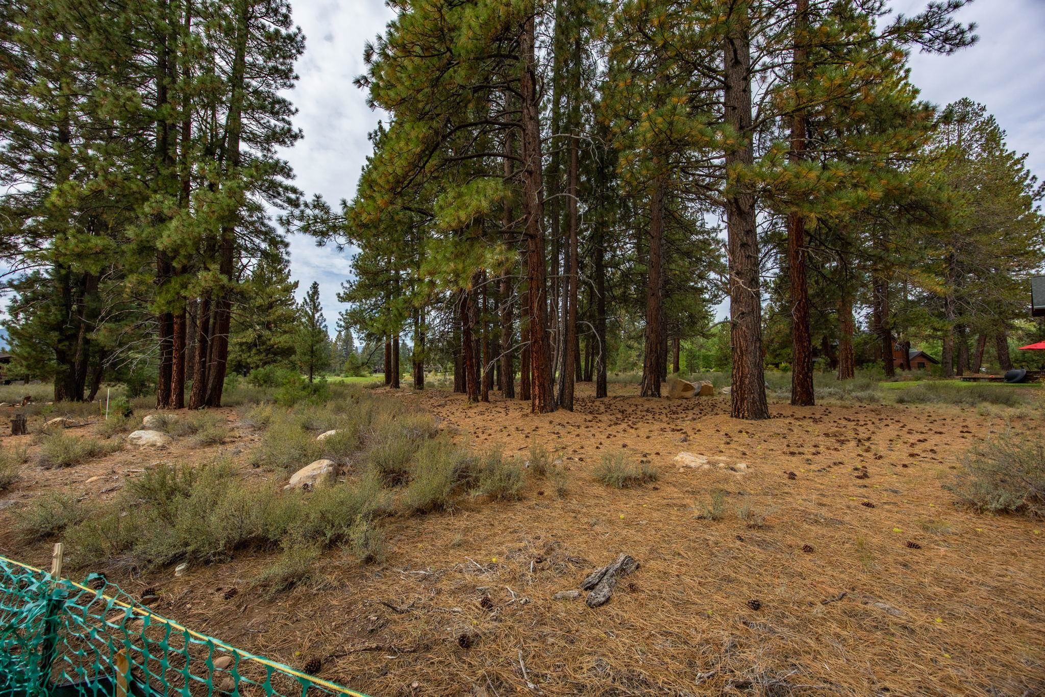 13132 Lookout Loop