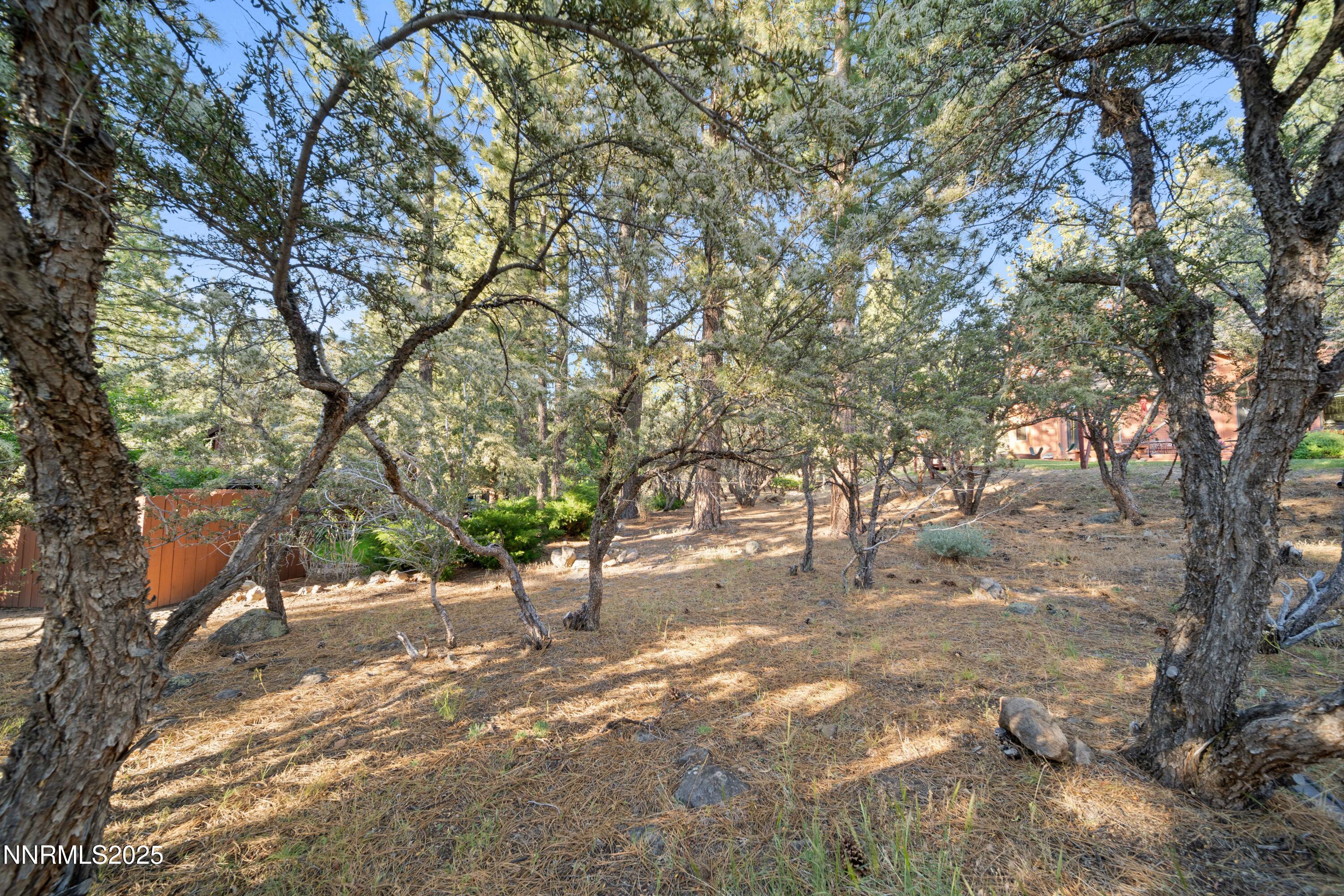 25 Yellow Pine Circle