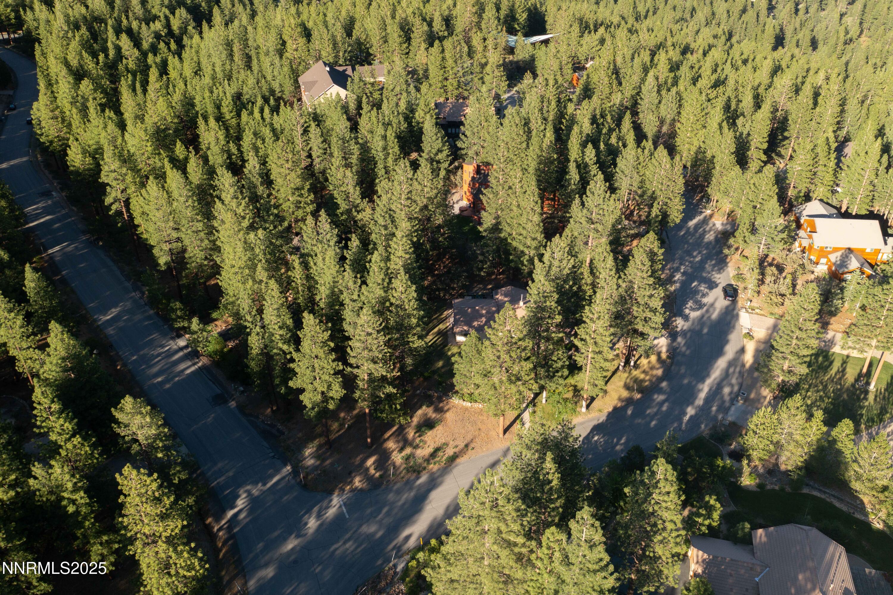 25 Yellow Pine Circle