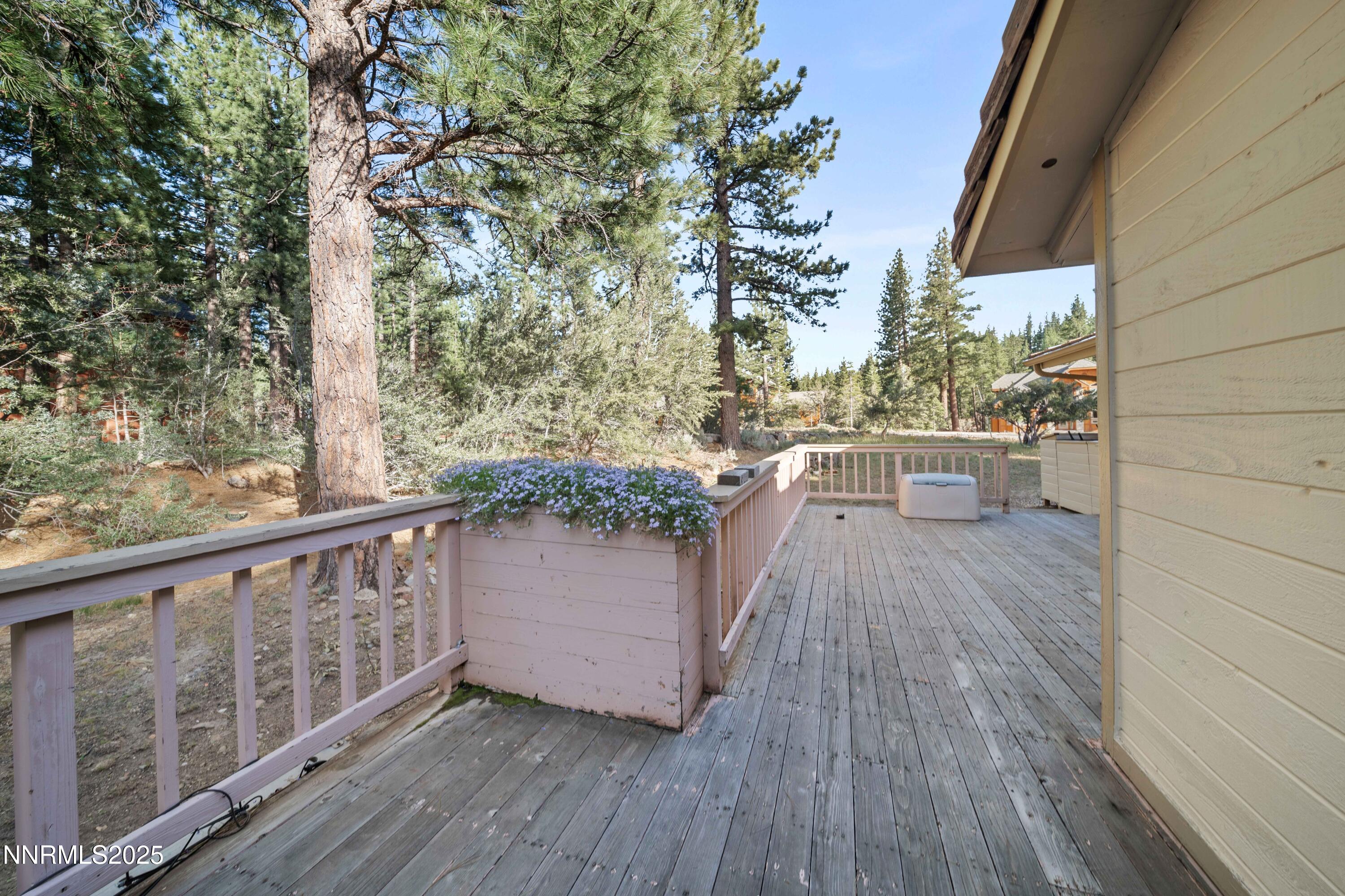 25 Yellow Pine Circle