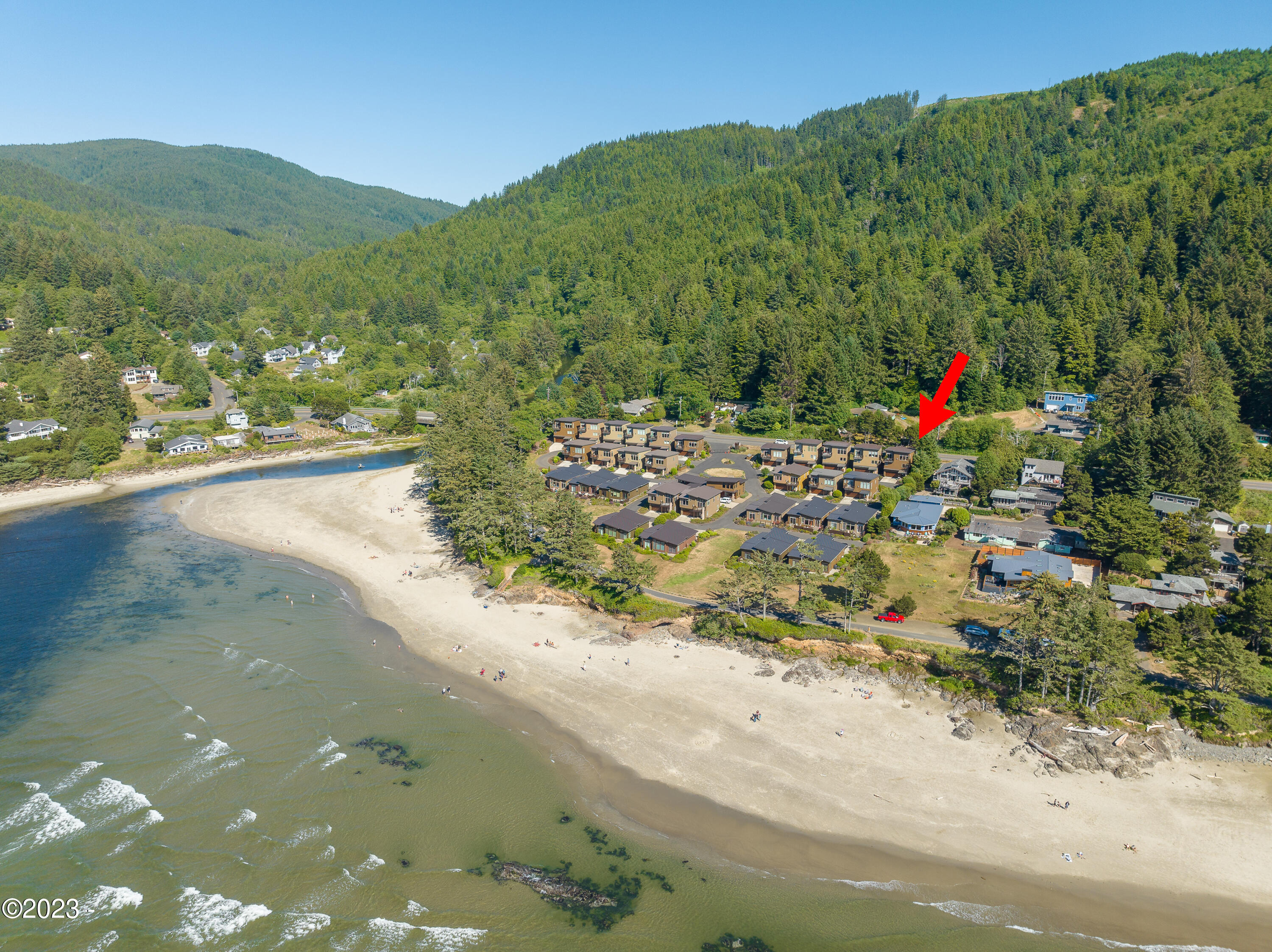 26 Catkin Loop