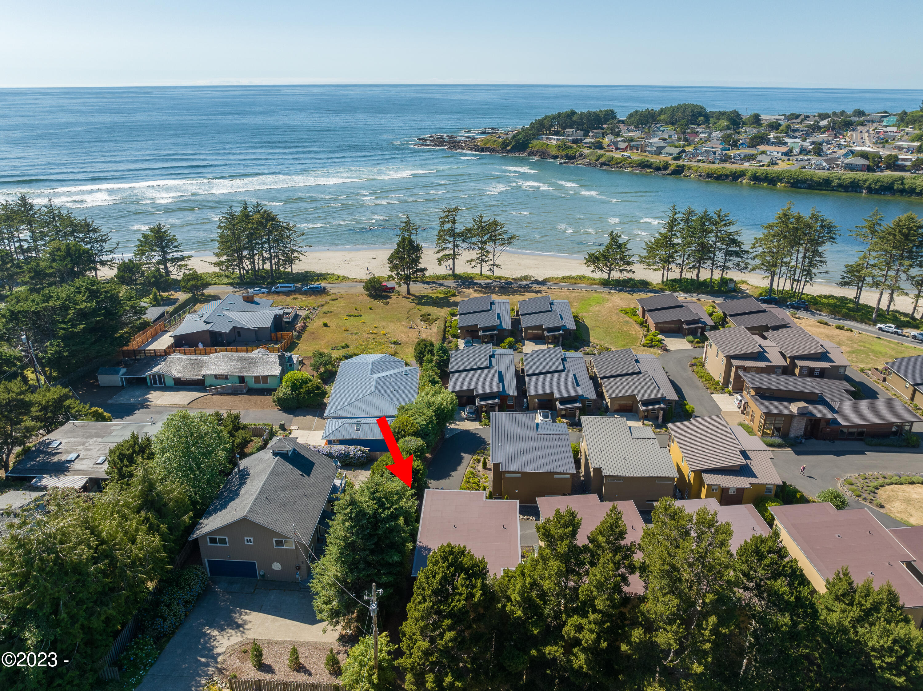 26 Catkin Loop