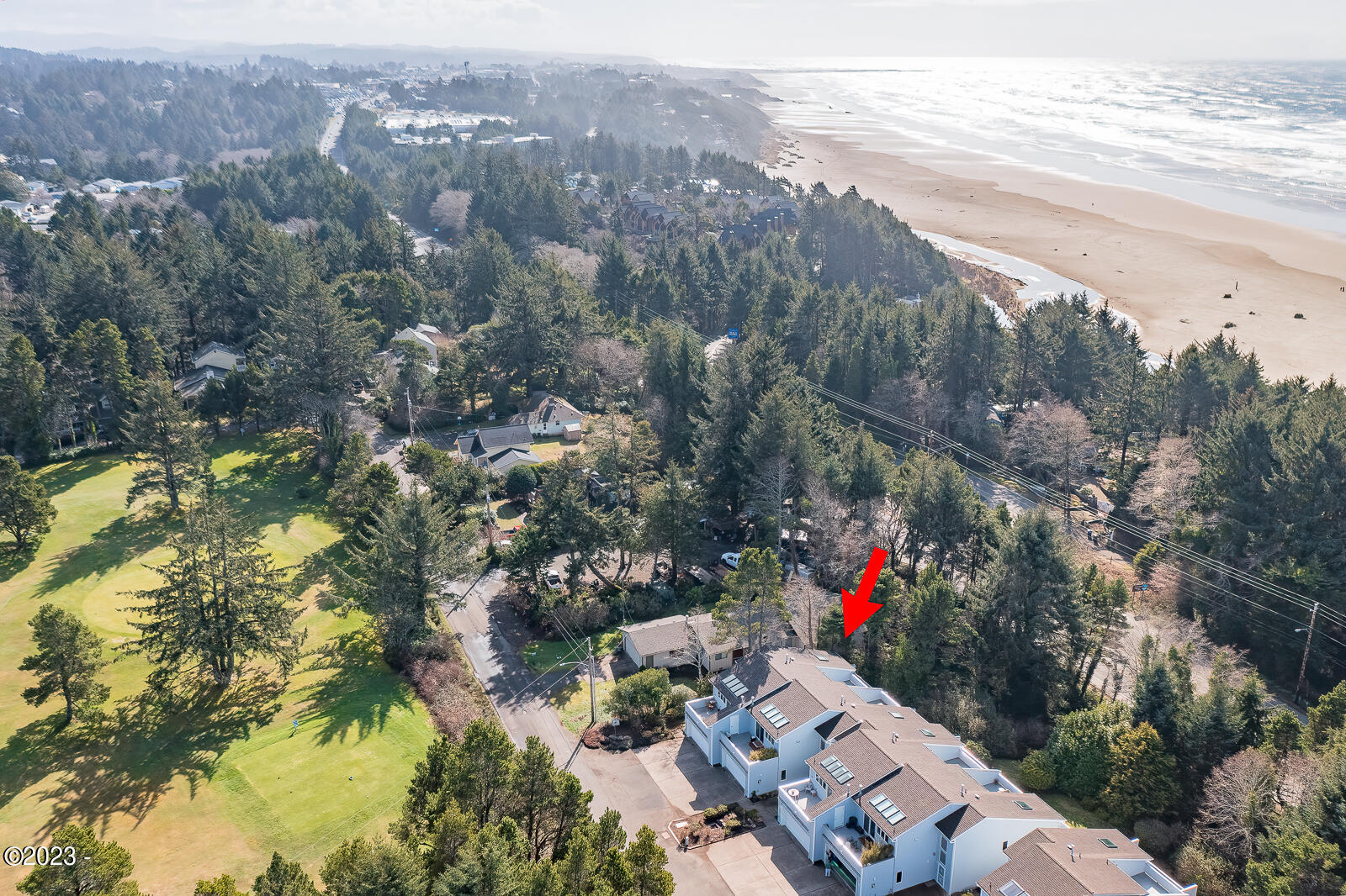 3910 NE Megginson Street, H