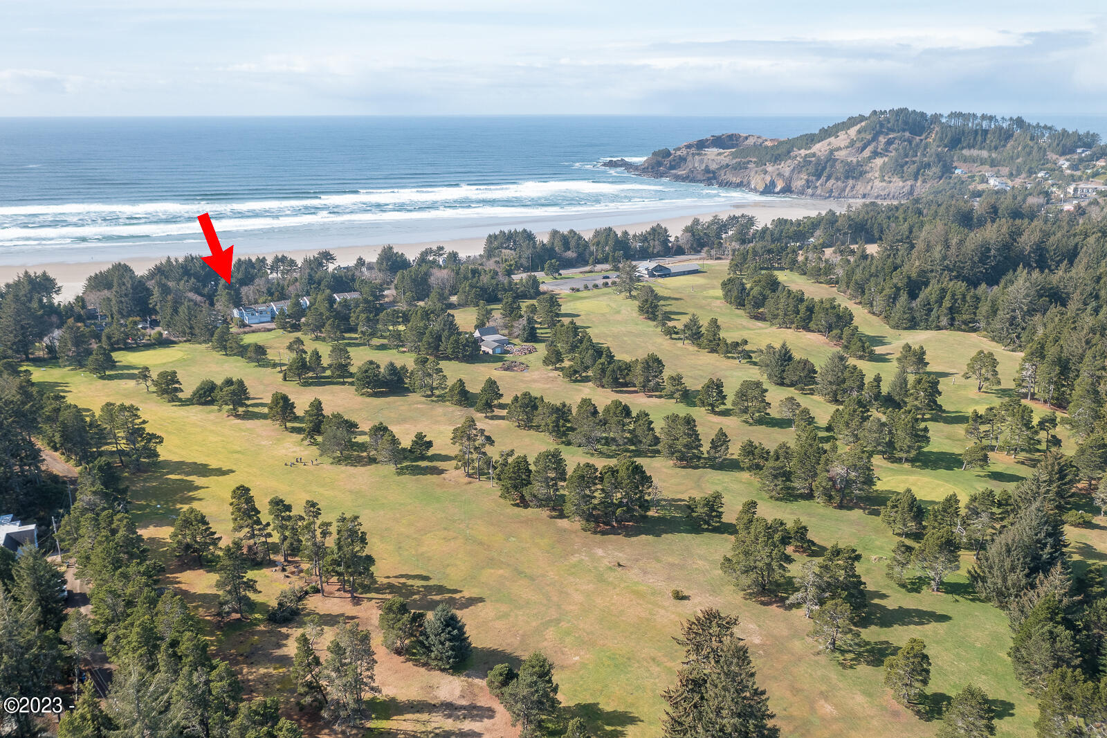 3910 NE Megginson Street, H