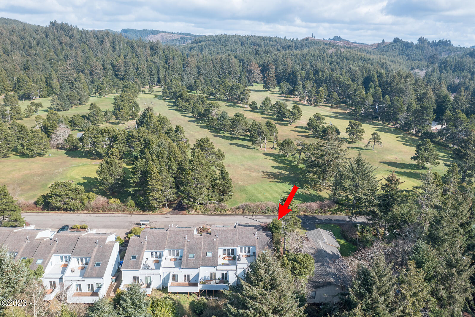 3910 NE Megginson Street, H