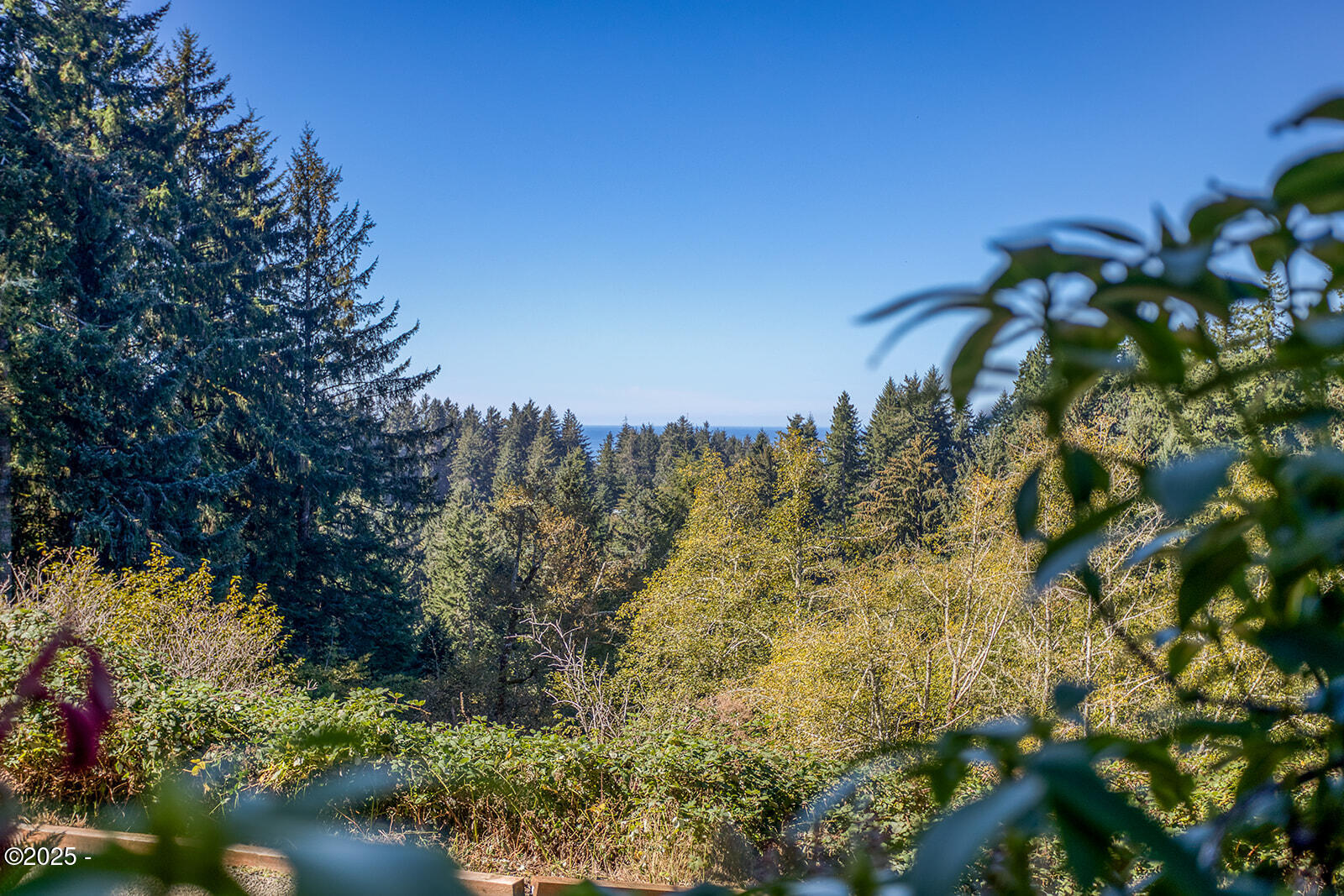 1219 NE Newport Heights Drive