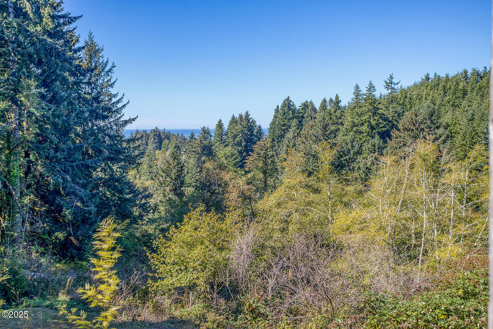 1219 NE Newport Heights Drive