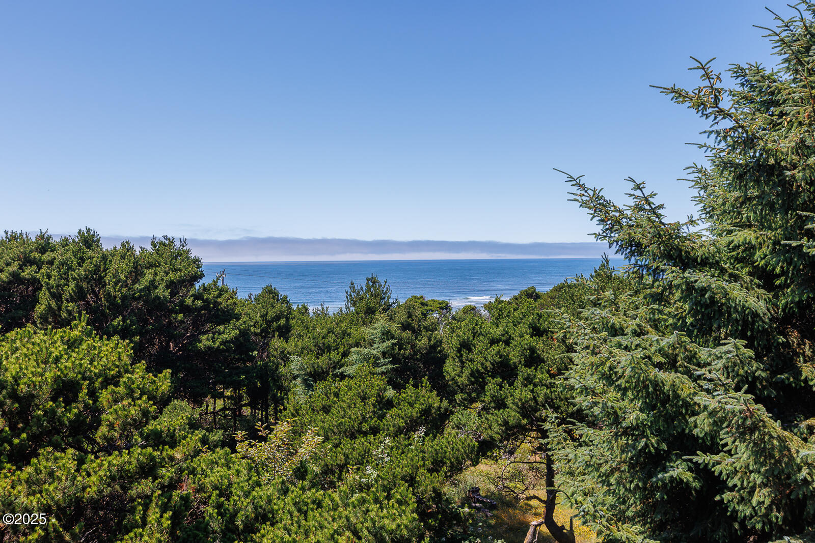 1115 SW Whitecap Drive