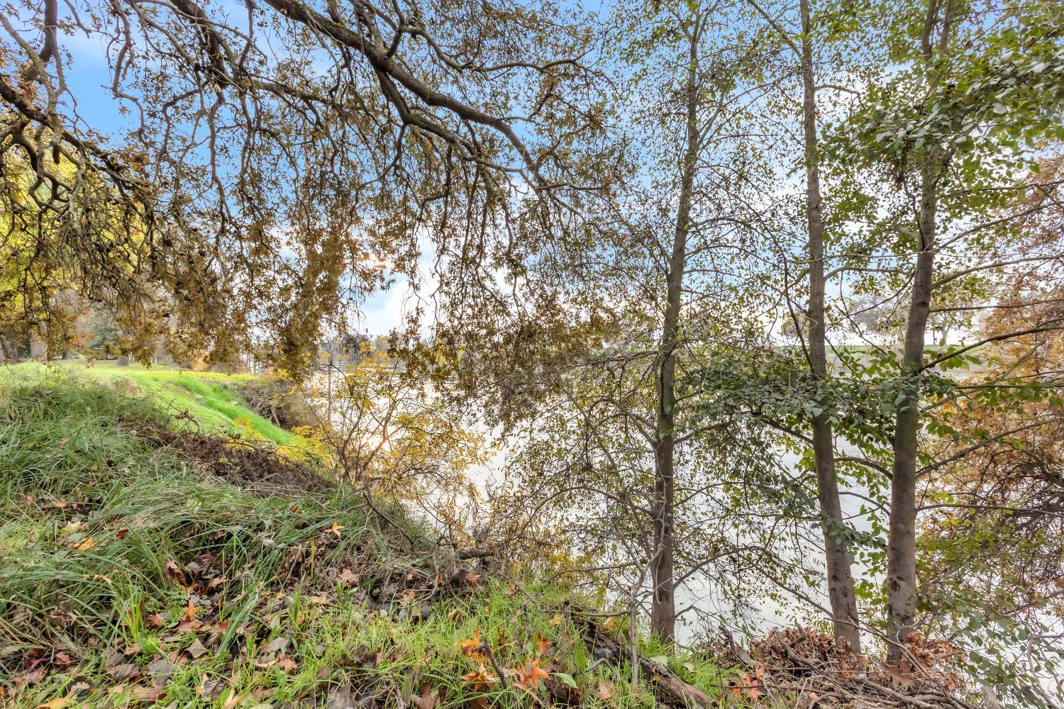 10113 Garden Highway