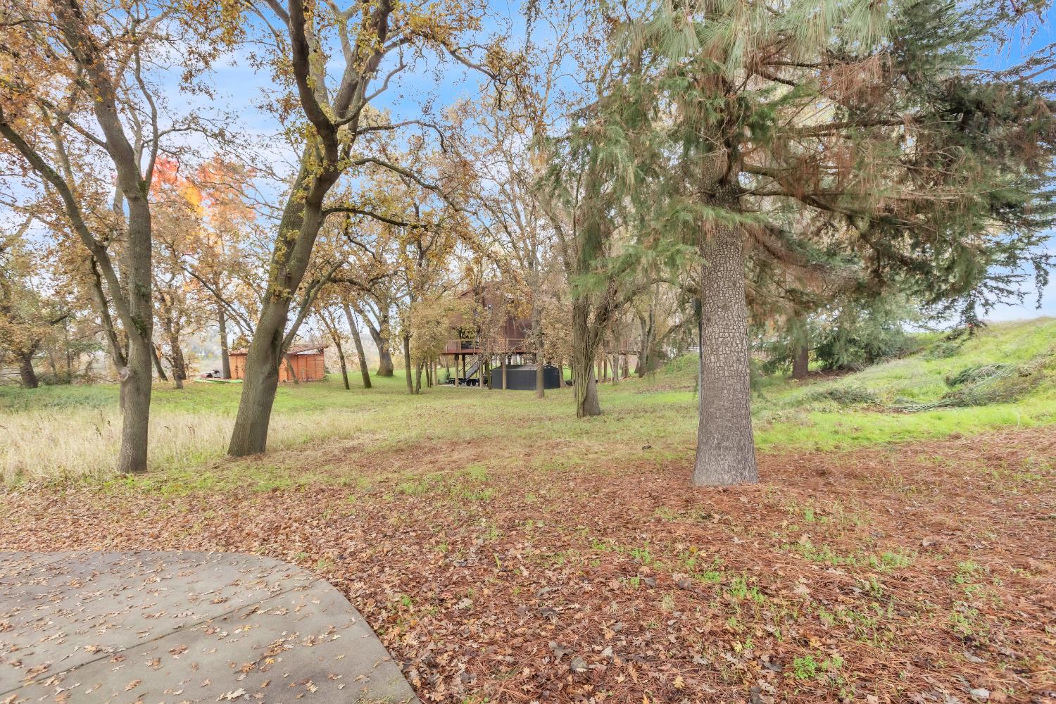 10113 Garden Highway