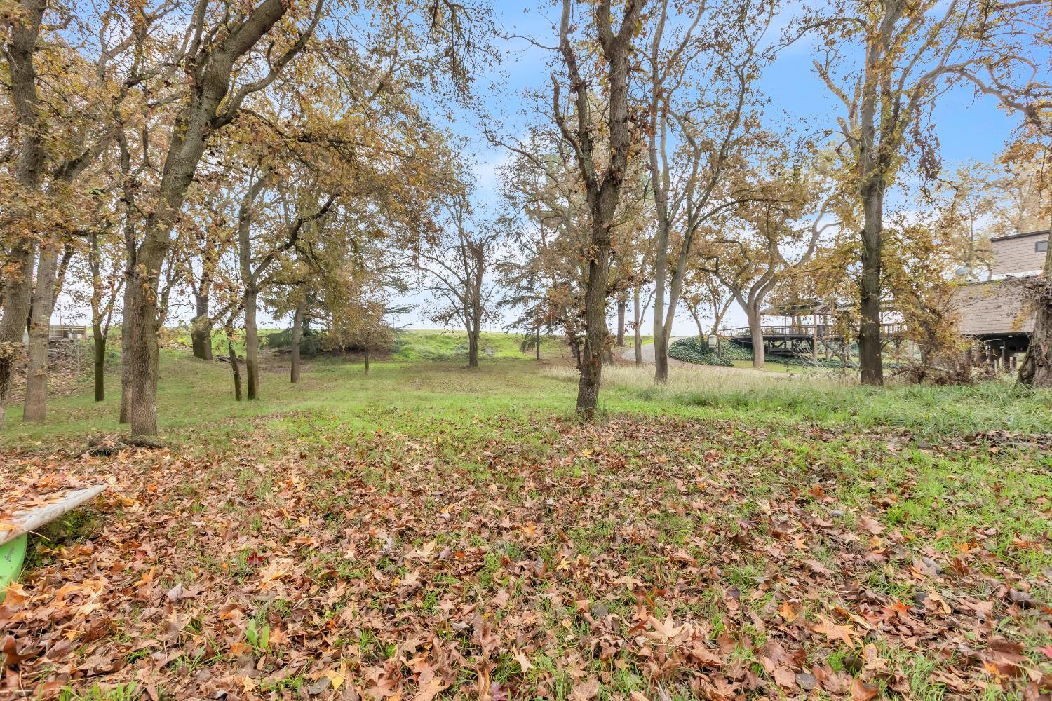 10113 Garden Highway