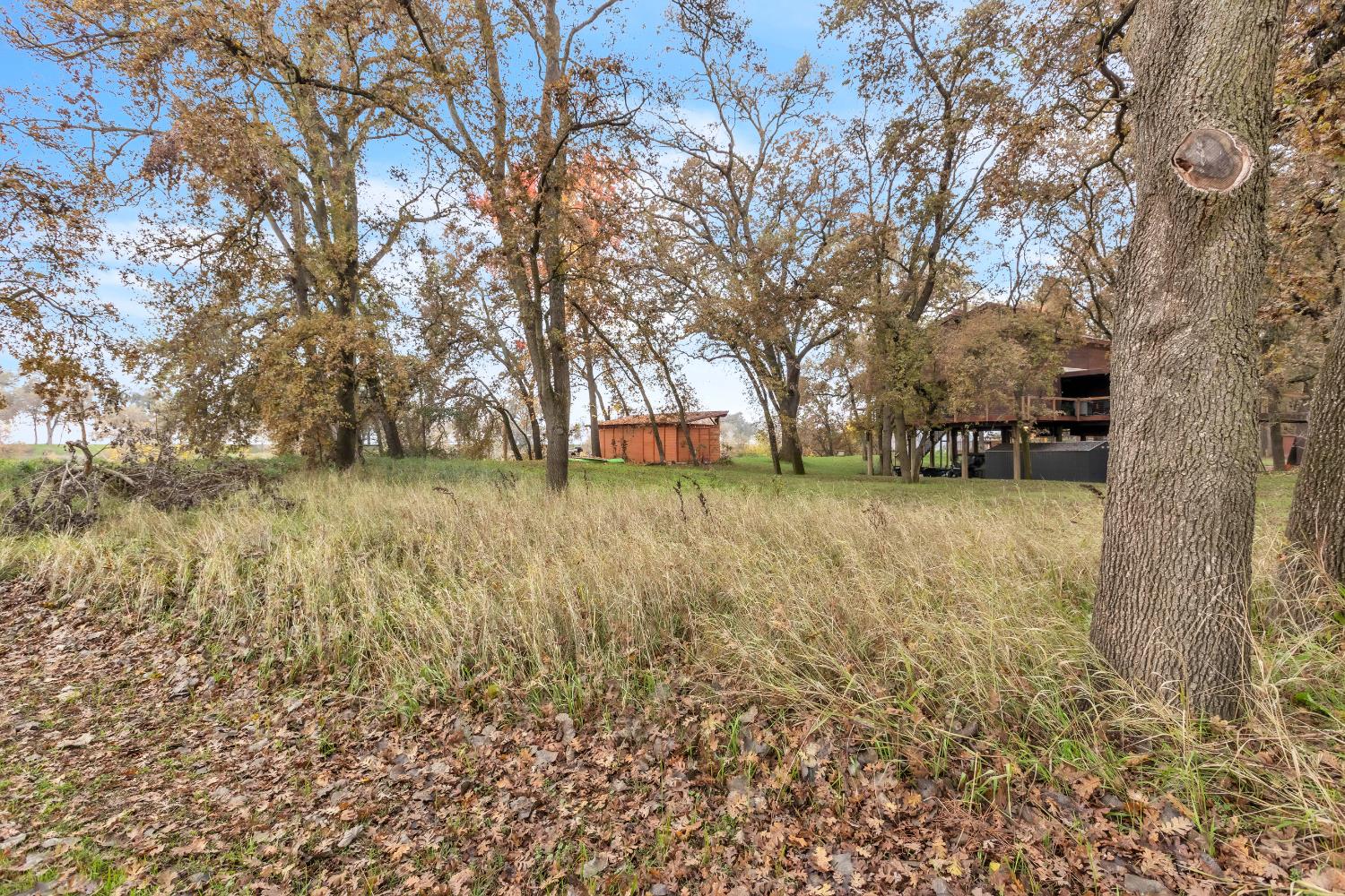 10113 Garden Highway