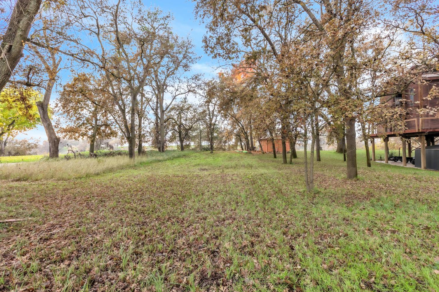 10113 Garden Highway