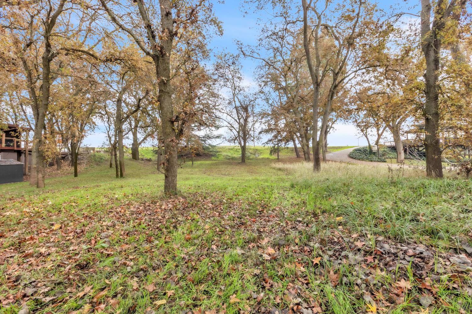 10113 Garden Highway