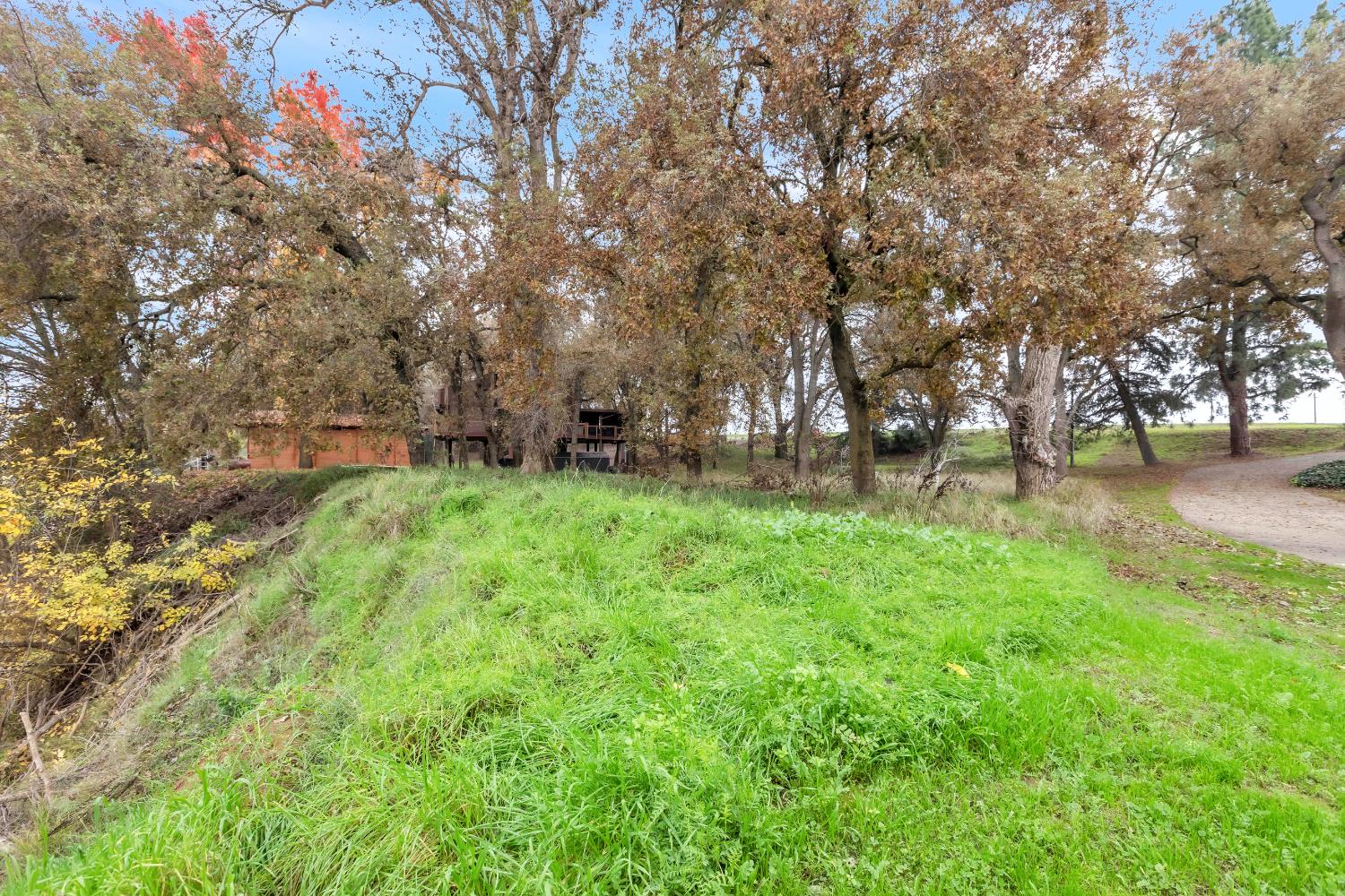 10113 Garden Highway