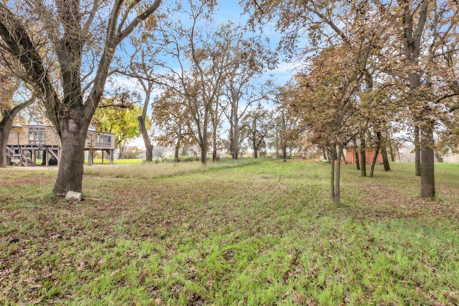 10113 Garden Highway