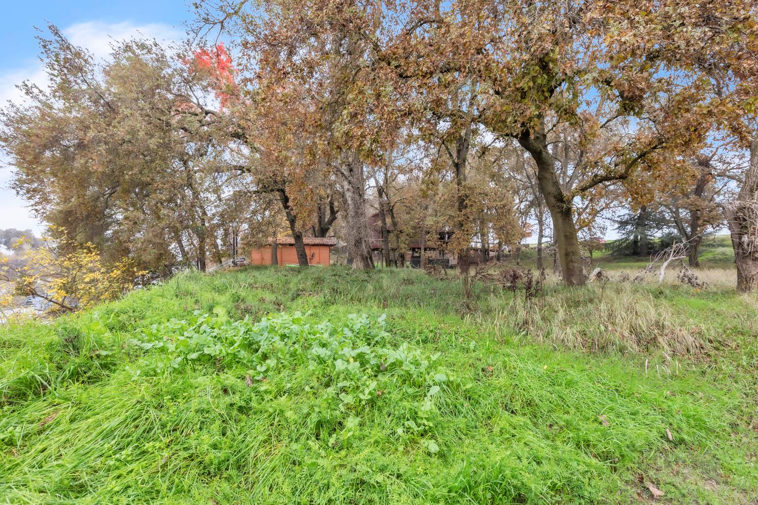 10113 Garden Highway