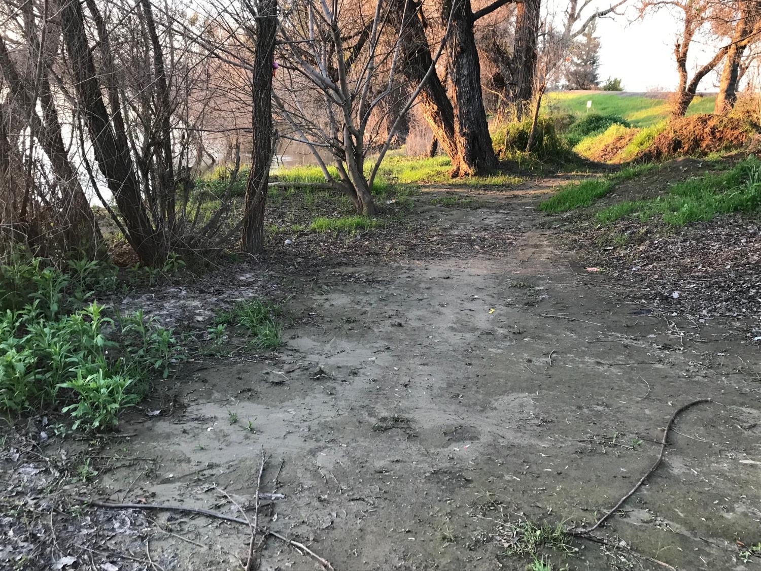 5720 Riverside Boulevard