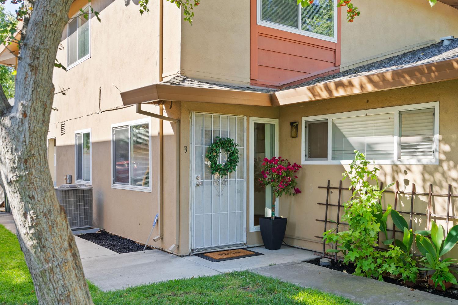 Sacramento Real Estate - Lisa Rayman