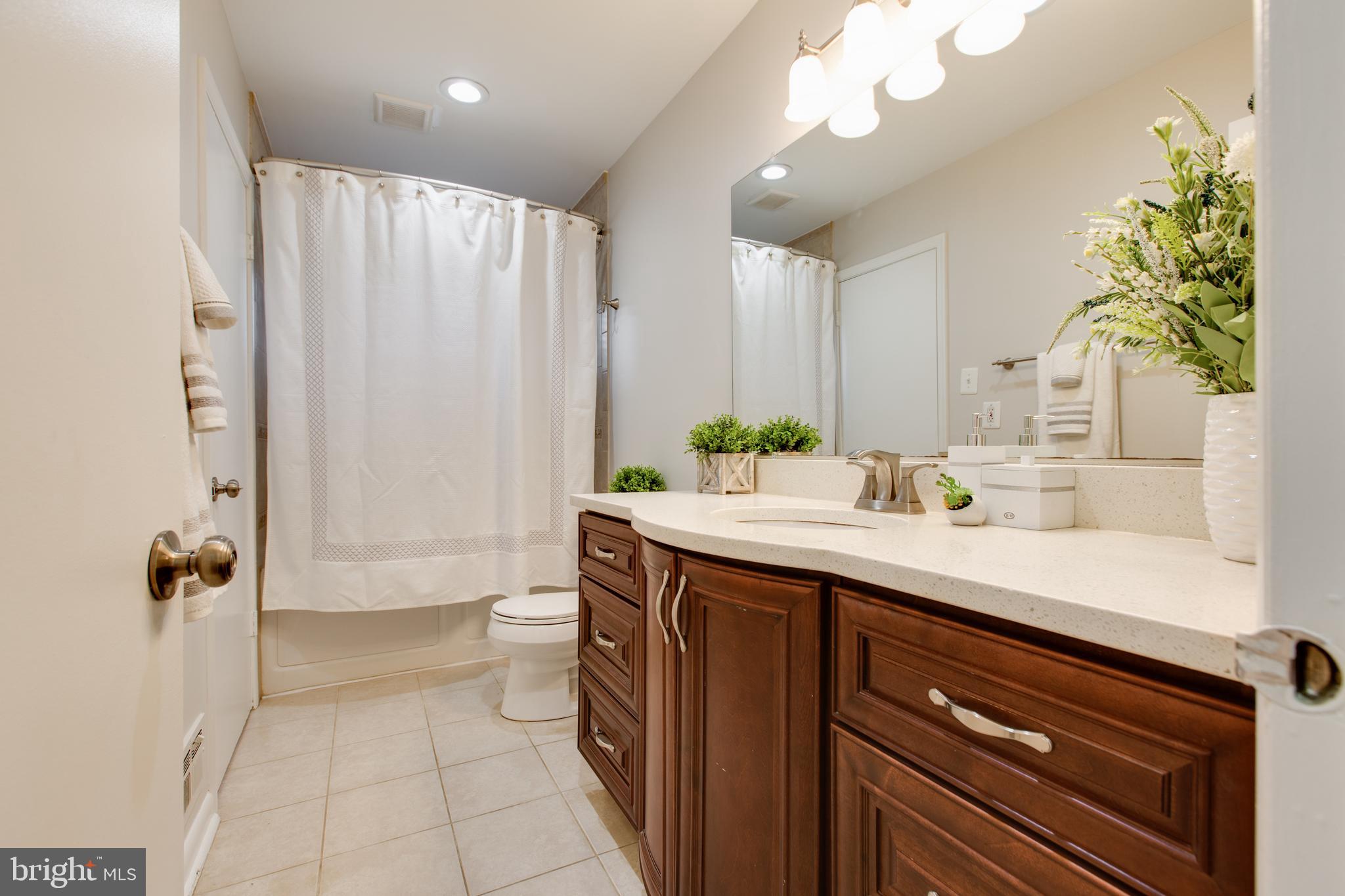 517 Williamsburg Ln