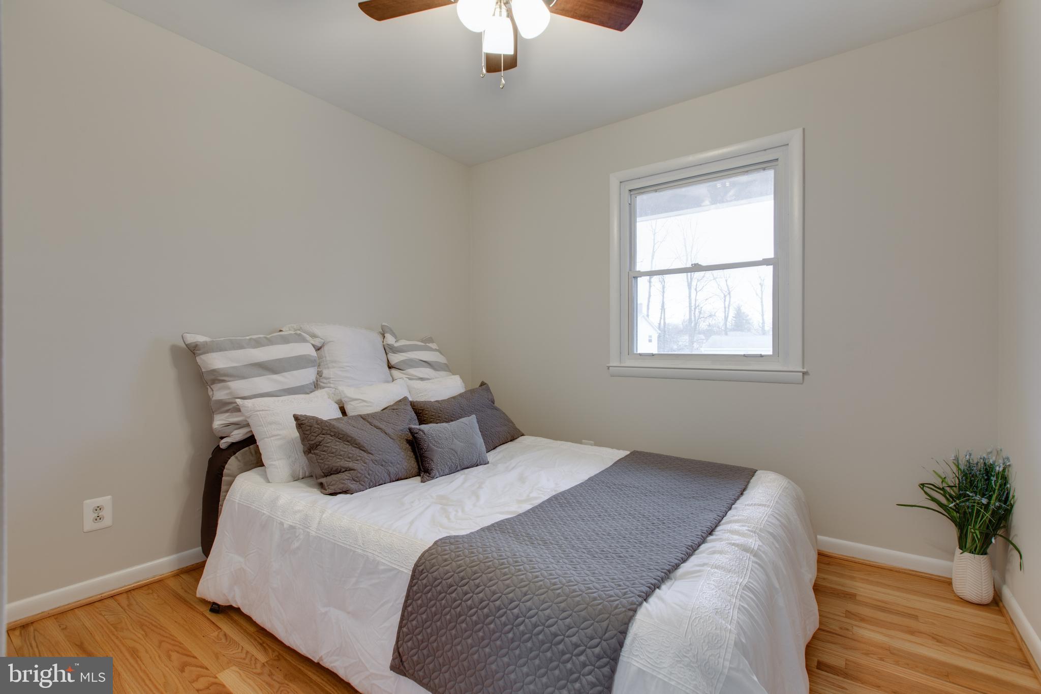 517 Williamsburg Ln
