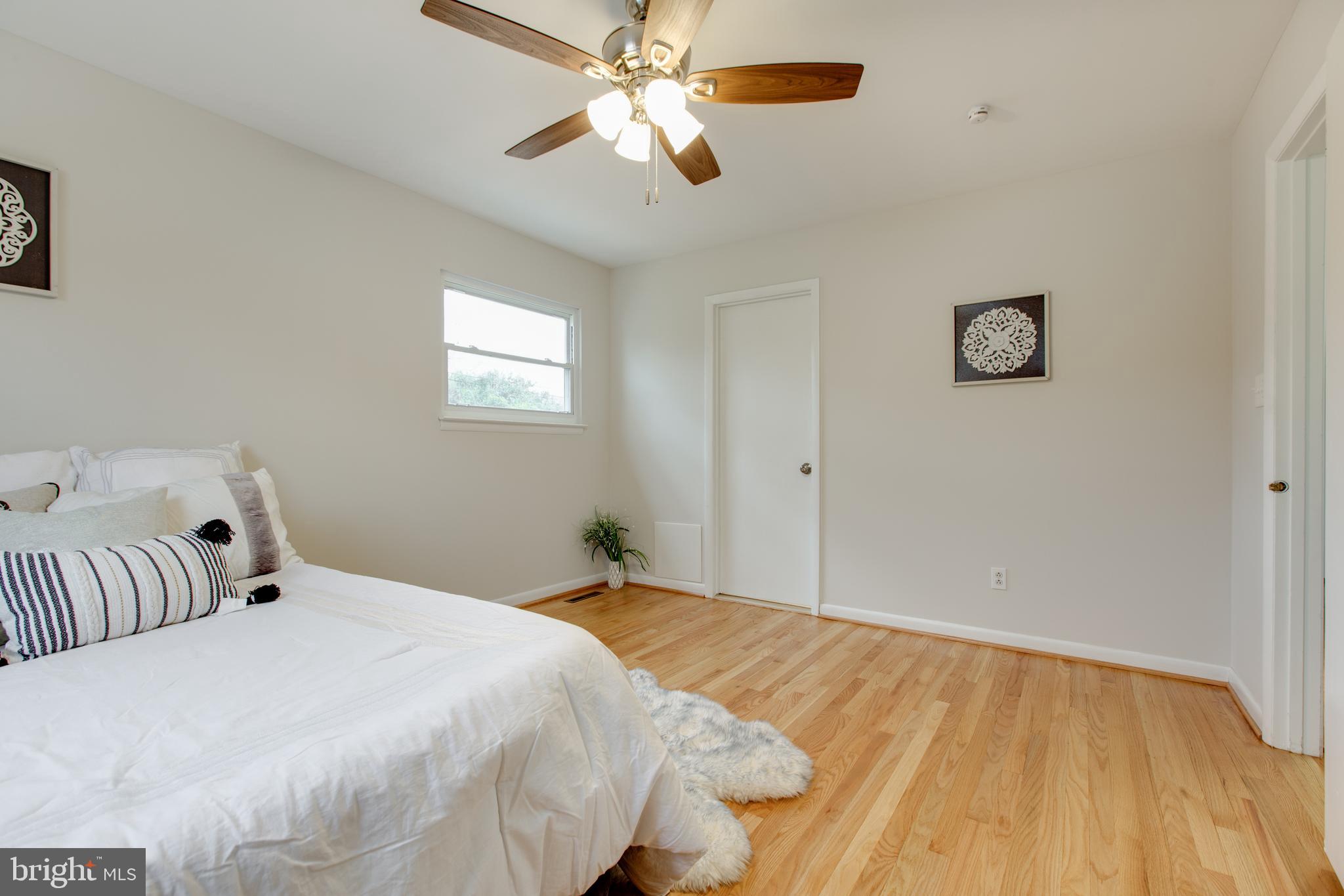 517 Williamsburg Ln