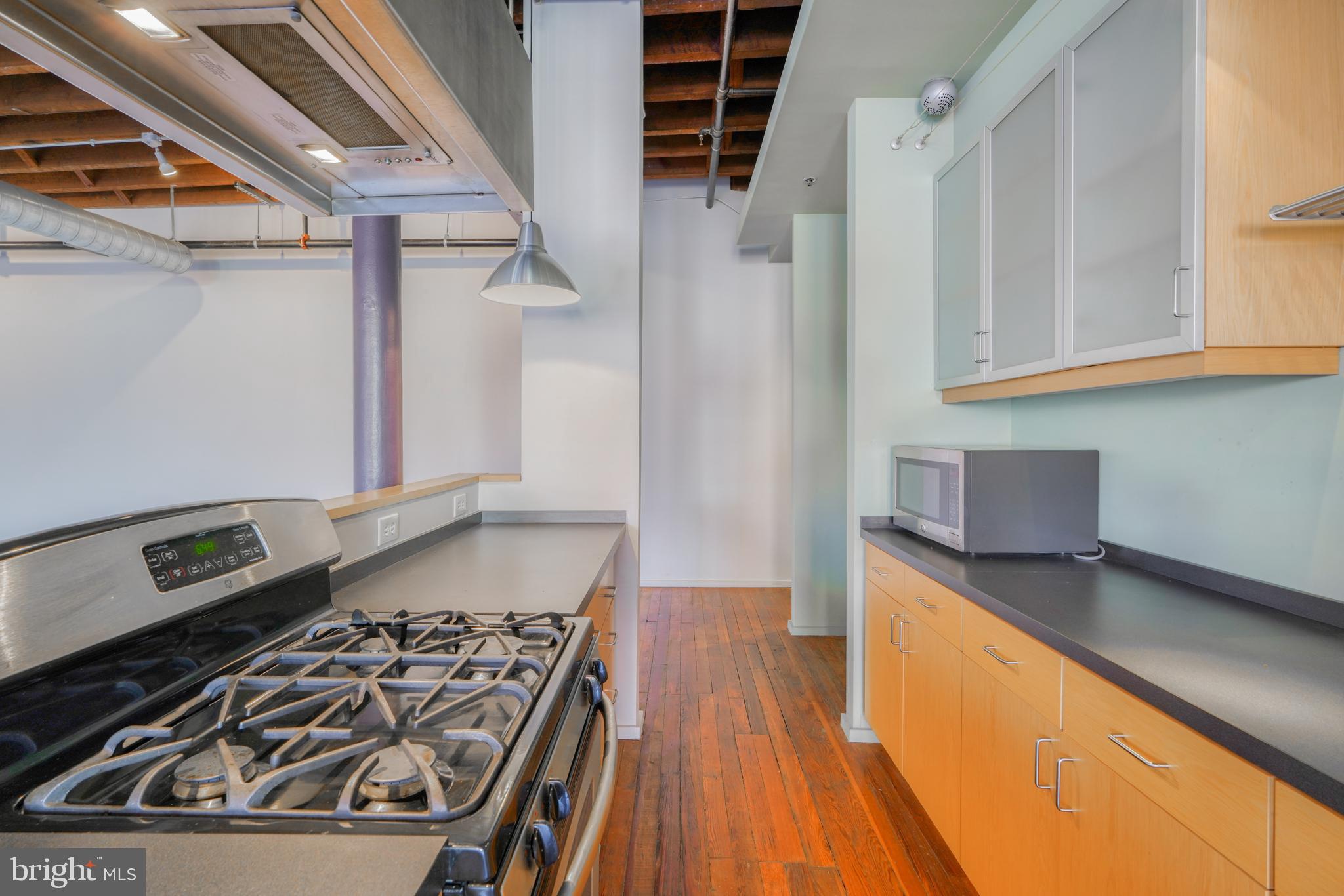 1000 S Charles St #203