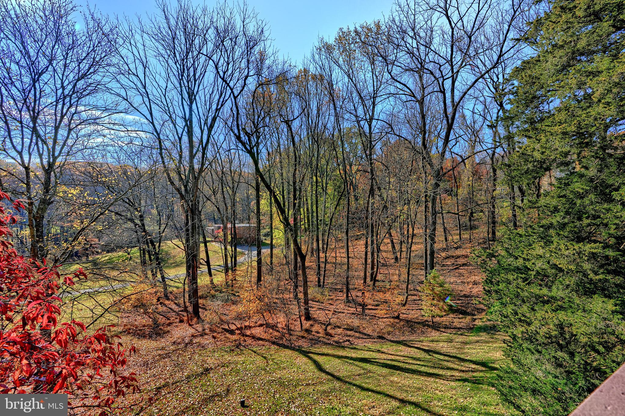 4 Beechmere Ln
