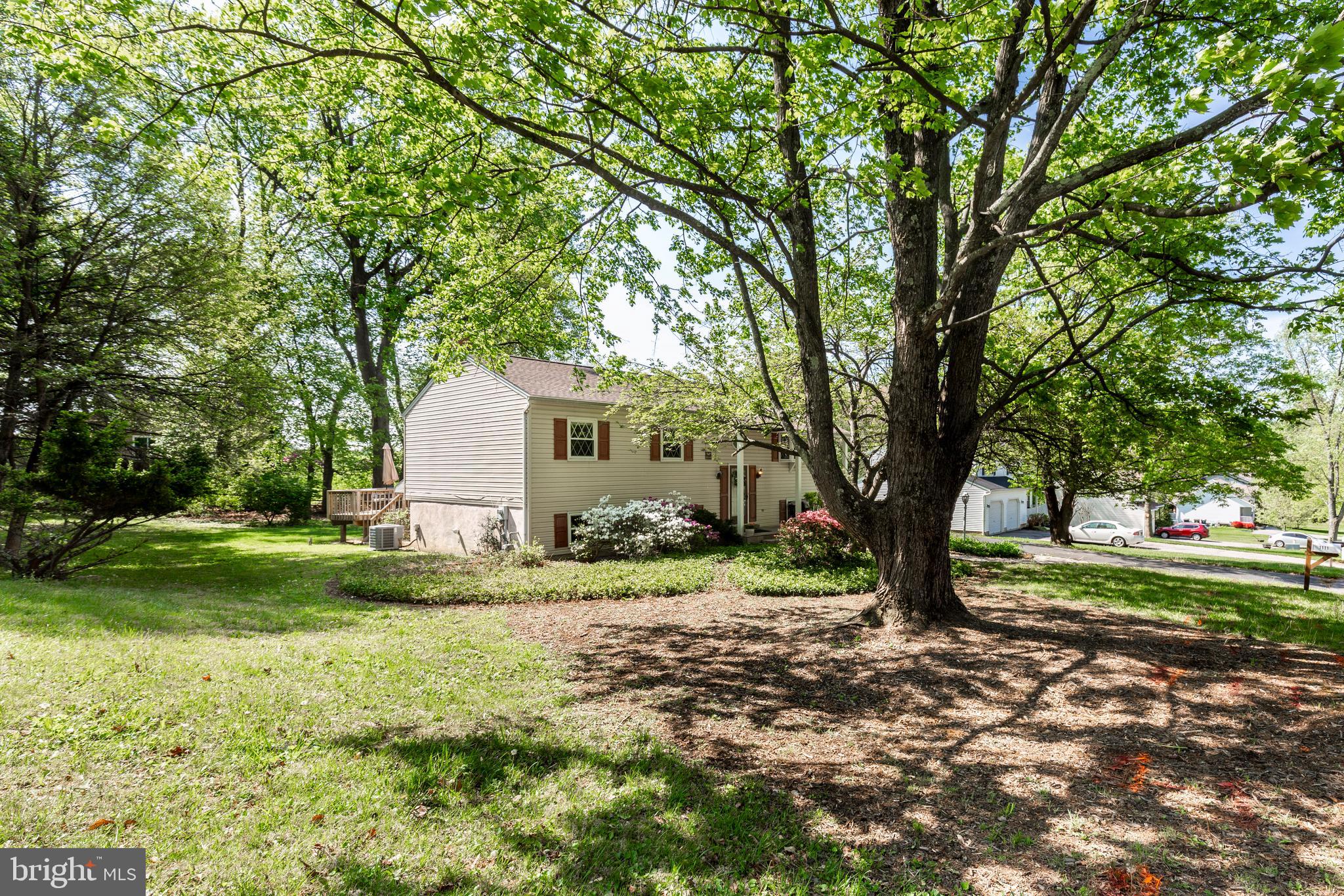 1111 Courtland Dr