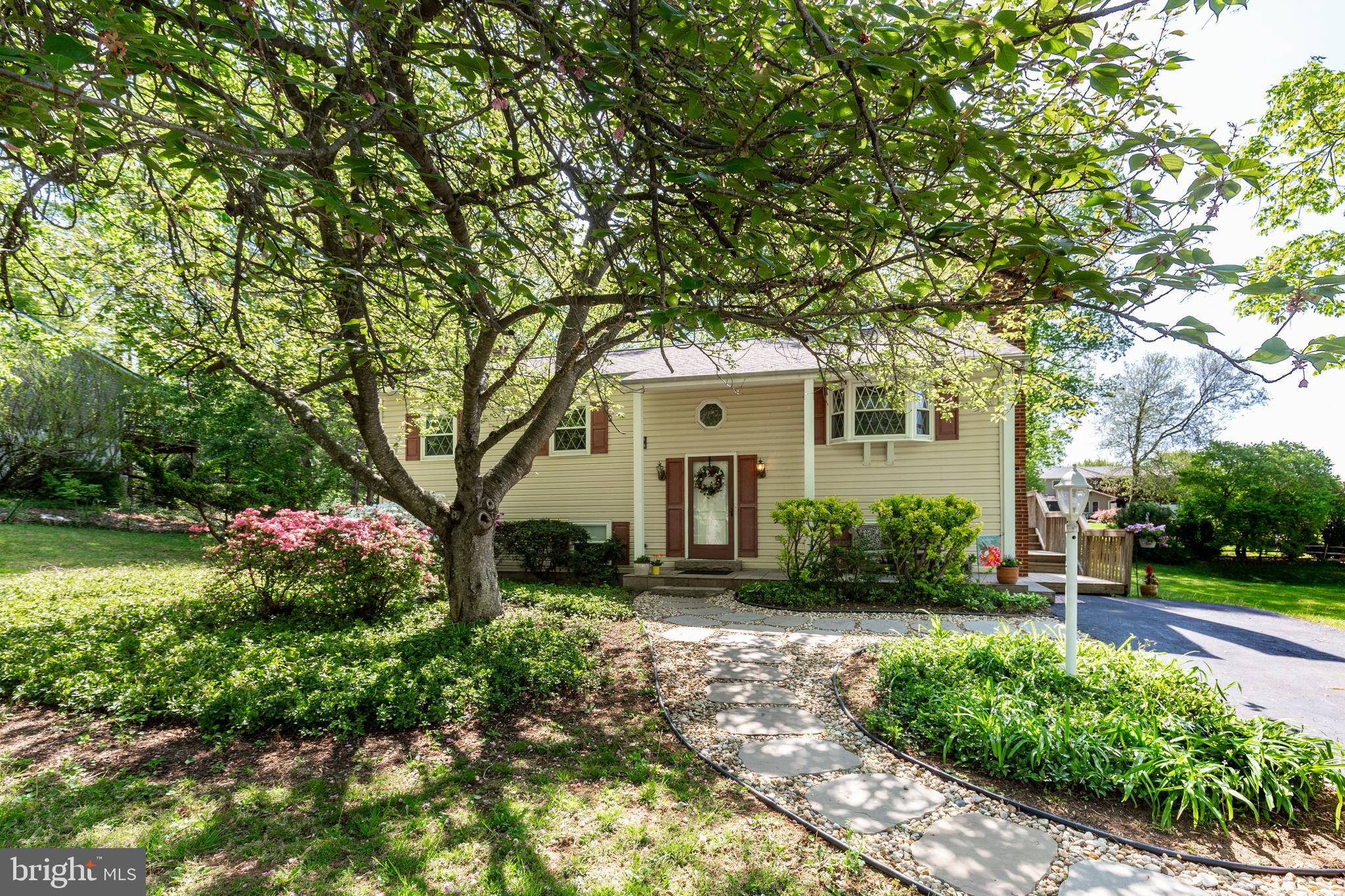 1111 Courtland Dr