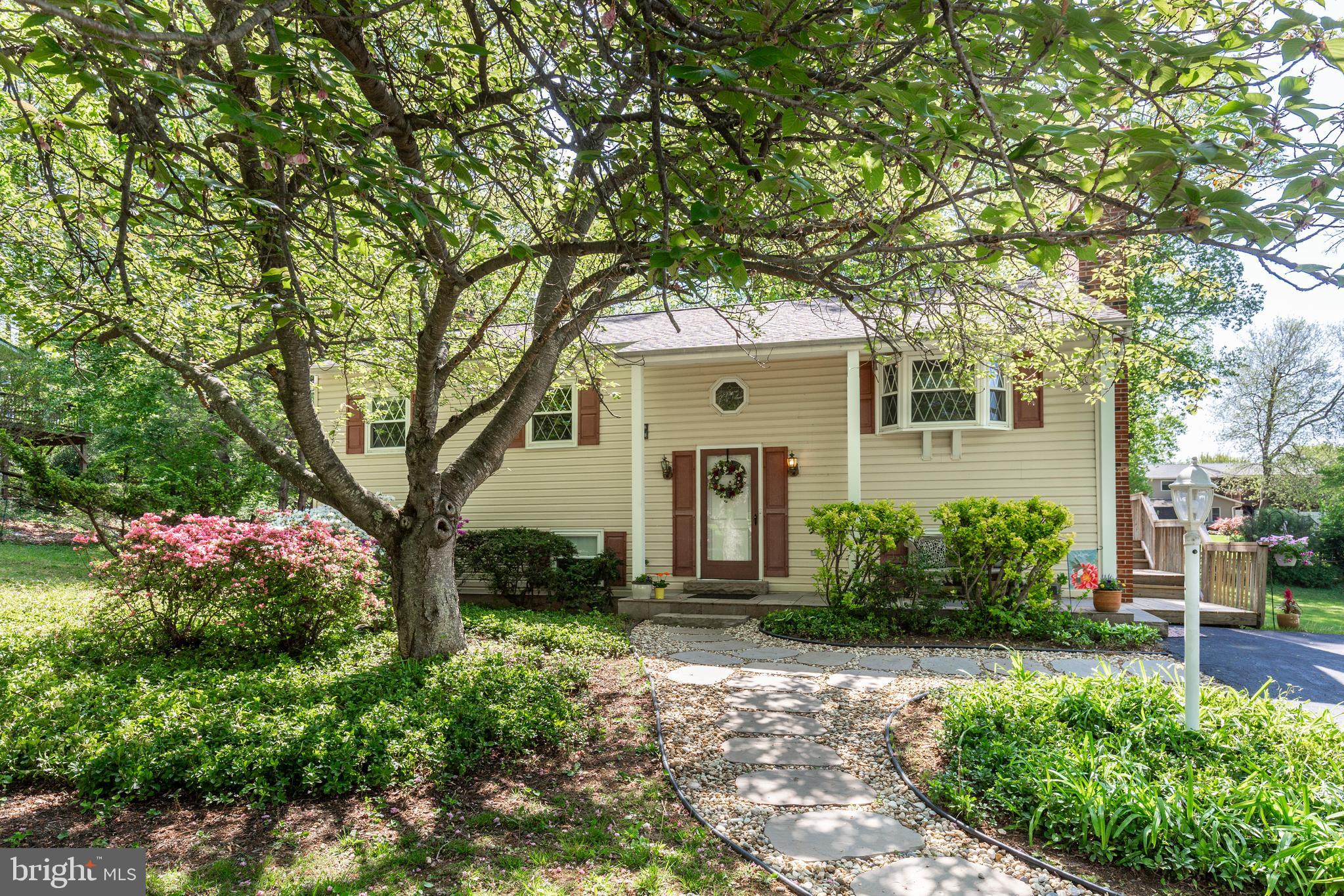 1111 Courtland Dr