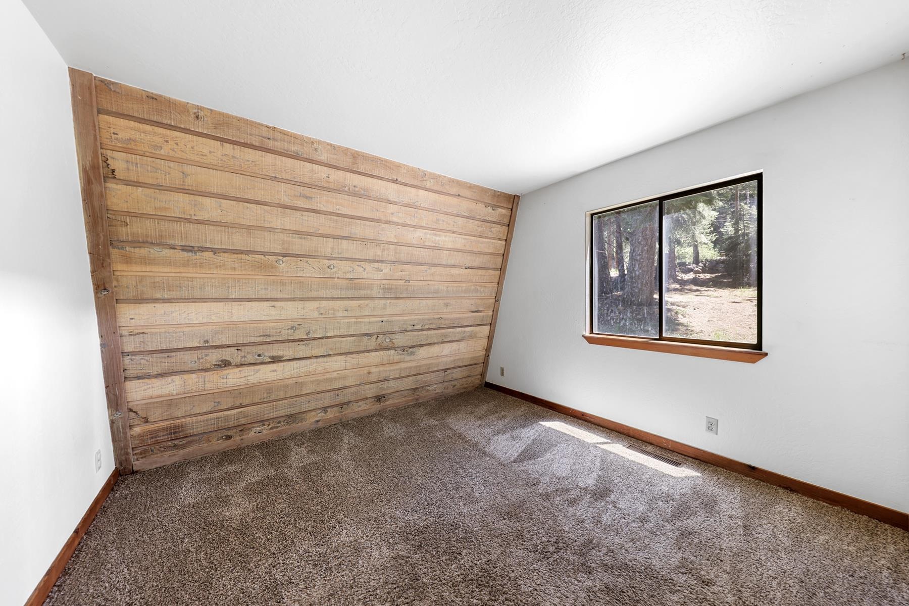 12160 Pine Forest Road