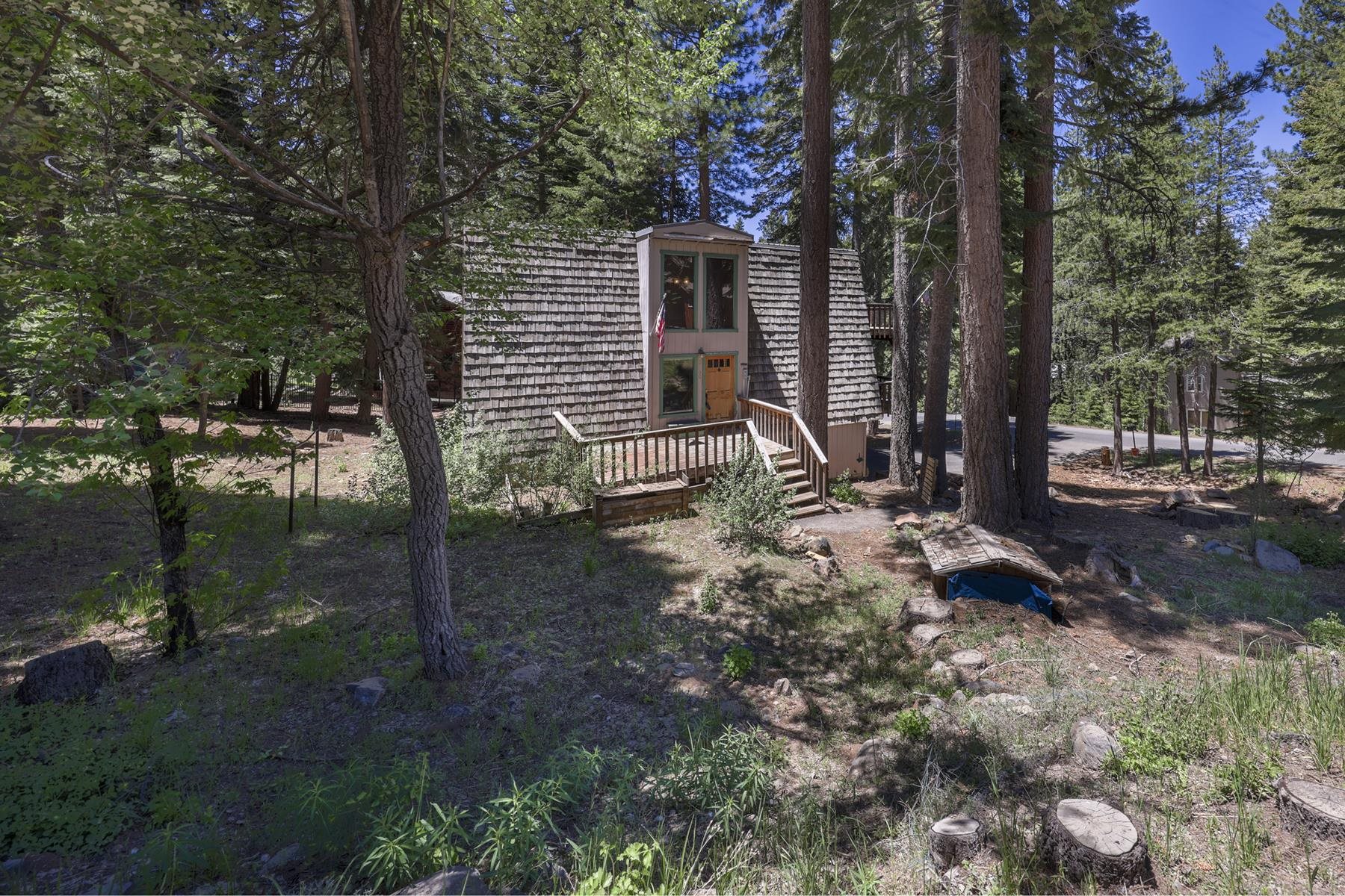 12160 Pine Forest Road