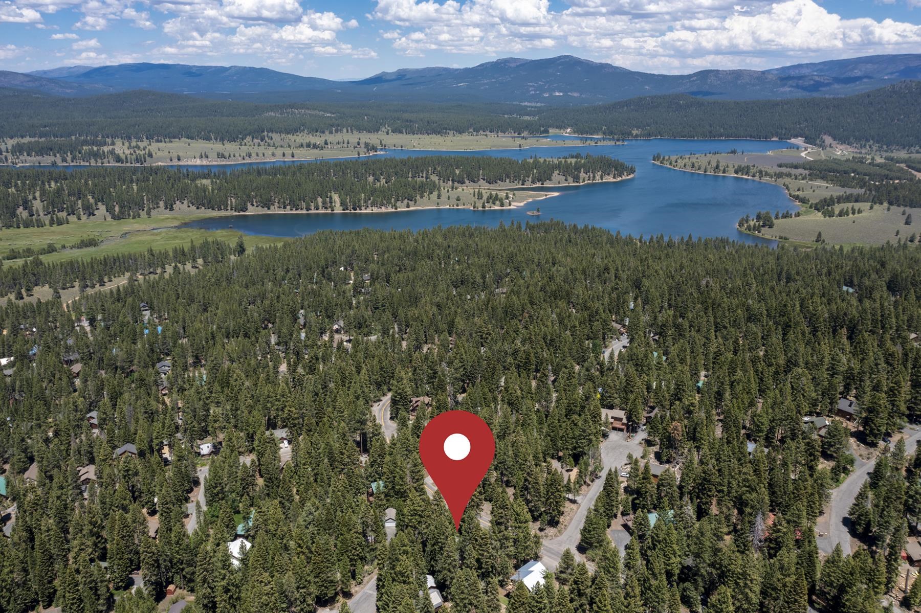 12160 Pine Forest Road