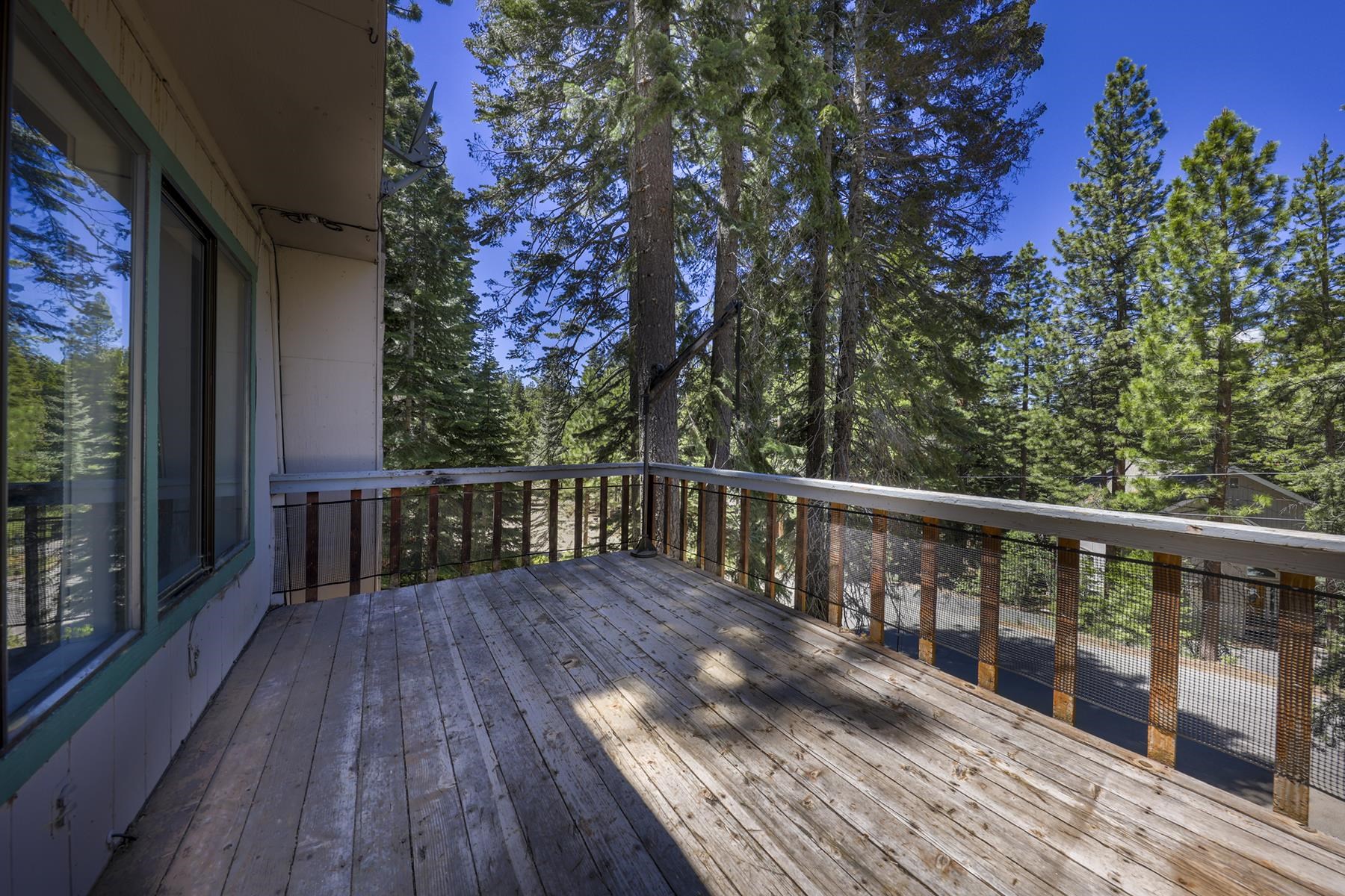 12160 Pine Forest Road